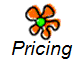 Pricing